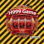 H999 game